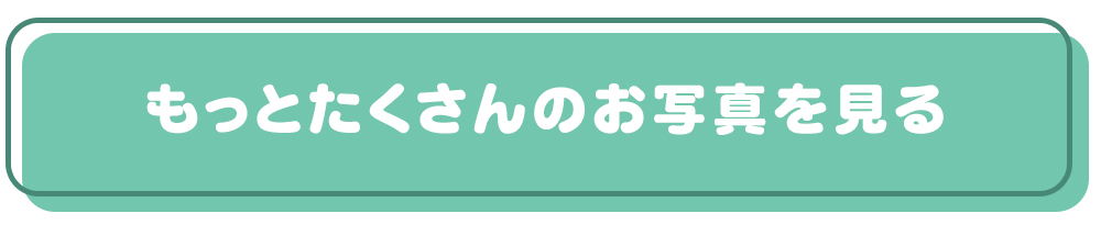 もっと見る